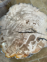 Load image into Gallery viewer, Petrified Wood Accent Tables/Stools