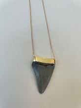 Load image into Gallery viewer, Shark's Tooth Necklaces set in 14 Karat Gold