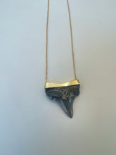 Load image into Gallery viewer, Shark's Tooth Necklaces set in 14 Karat Gold
