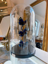 Load image into Gallery viewer, Butterfly Specimens en Cloche
