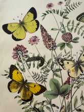 Load image into Gallery viewer, Vintage Paris Prints | Butterfly
