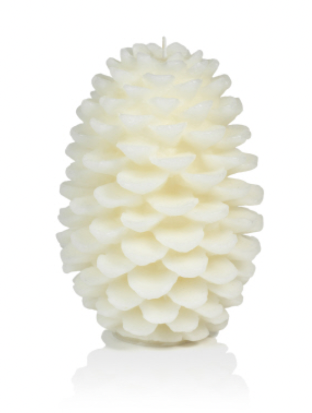 Pine Cone Fir Scented Candle