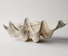 Load image into Gallery viewer, Clam Shell - Giant
