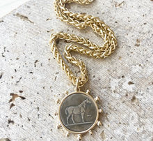 Load image into Gallery viewer, French Coin Necklace
