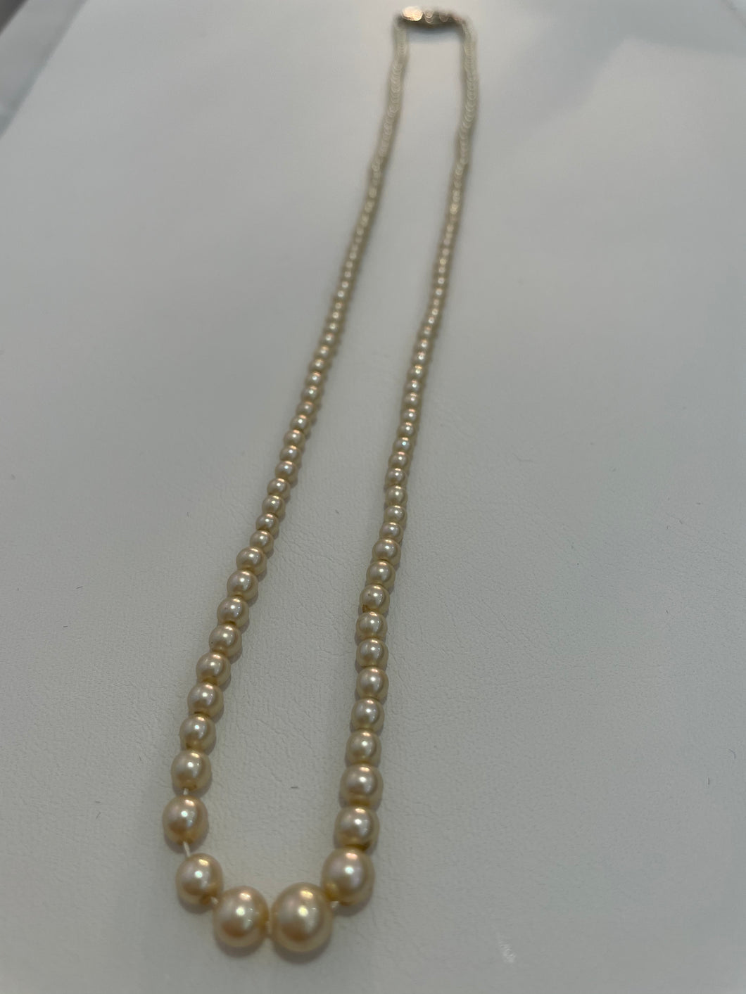 Graduated Pearl Bead Necklace