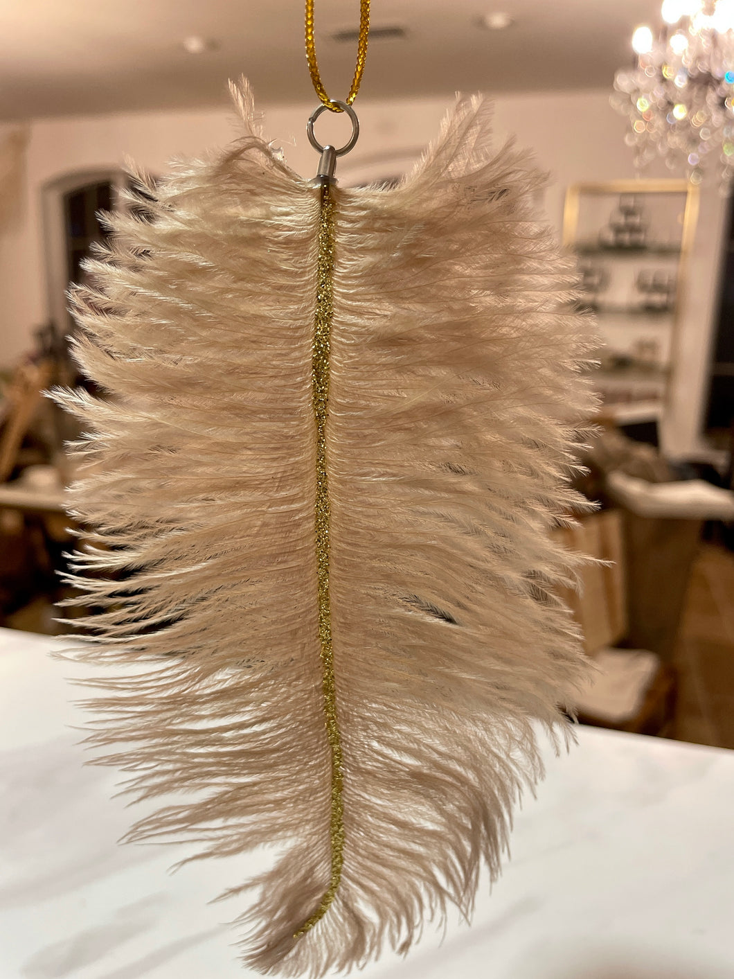 Ornament - Ostrich feather