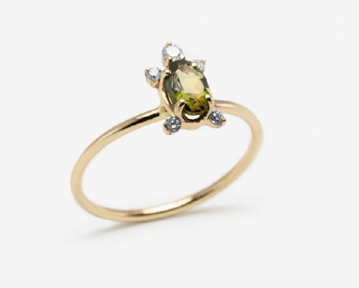 Chapter Six Ring - Turtle Ring